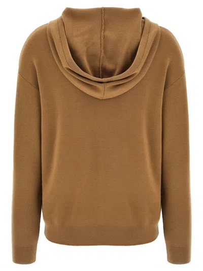 Max Mara Hooded Sweatshirt With Drawstring And Graphic Detail In Brown