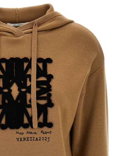 Max Mara Hooded Sweatshirt With Drawstring And Graphic Detail In Brown