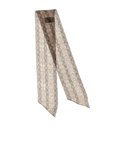 Saint Laurent Silk Scarf Scarves And Foulards Multicolor In Neutral