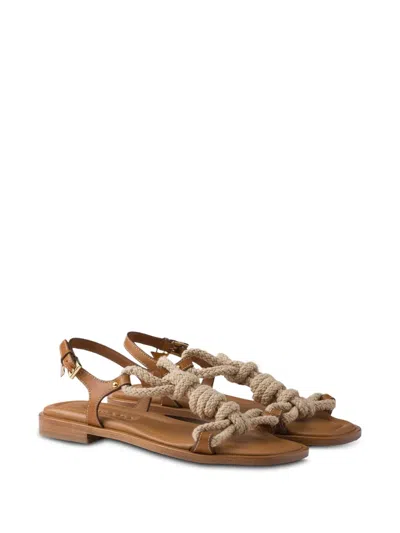 Prada Fabric And Leather Sandals With Braided Straps In Brown