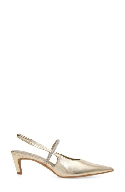 Open Edit Sophia Pointed Toe Slingback Pump