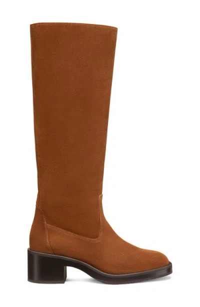 Stuart Weitzman Kaia Knee High Boot In Brown