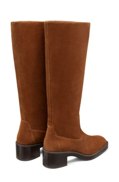 Stuart Weitzman Kaia Knee High Boot In Brown
