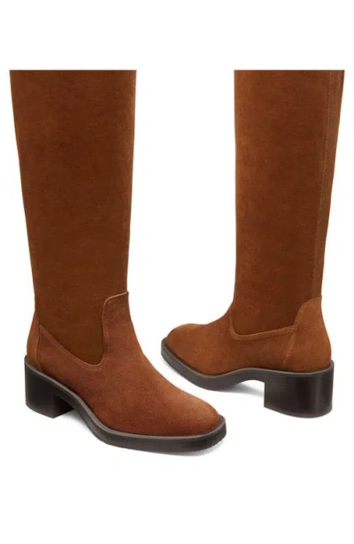 Stuart Weitzman Kaia Knee High Boot In Brown