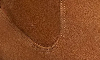 Stuart Weitzman Kaia Knee High Boot In Brown