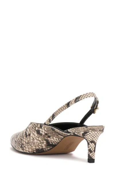 Vince Camuto Kylien Kitten Heel Pump In Animal Print
