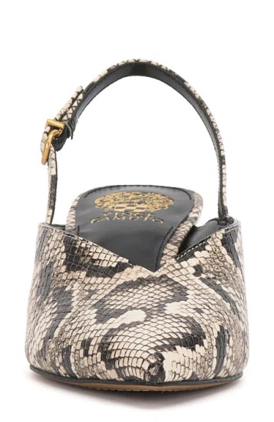 Vince Camuto Kylien Kitten Heel Pump In Animal Print