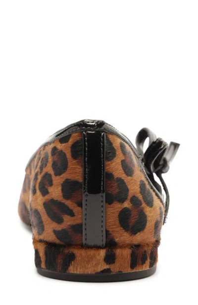 Arezzo Women's Tessa Pointed Toe Ballet Flats In Brown