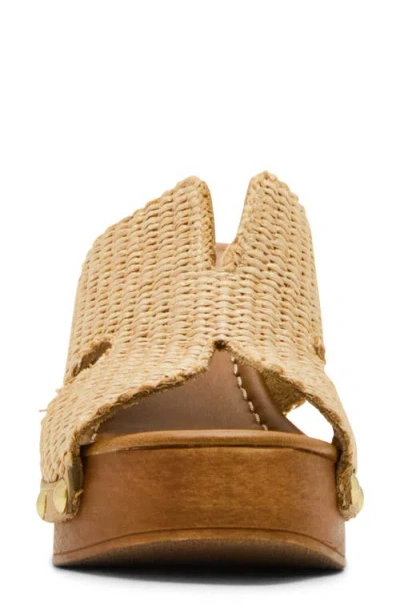 Steve Madden Sunkissed Clog In Brown