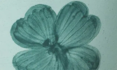 Rice By Rice Hand-painted Ceramic Espresso Cup