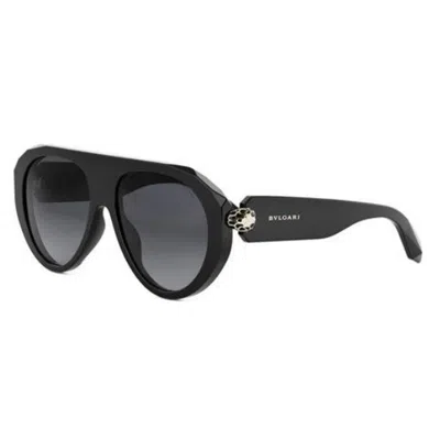 Bvlgari Serpenti Forever Acetate Aviator Sunglasses In Black