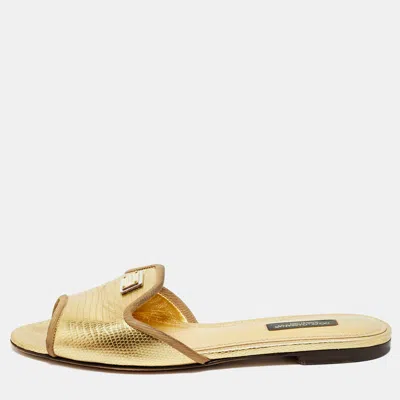 Pre-owned Dolce & Gabbana Gold Lizard Embossed Leather Flat Slides Size 36