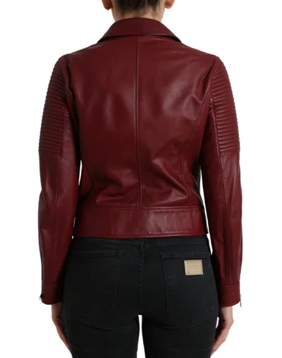 Dolce & Gabbana Bordeaux Leather Biker Coat Lambskin Jacket In Burgundy