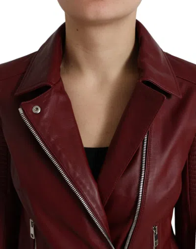Dolce & Gabbana Bordeaux Leather Biker Coat Lambskin Jacket In Burgundy
