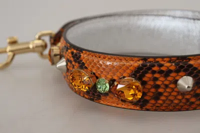 Dolce & Gabbana Chic Orange Leather Bag Strap With Gold-tone Women's Clasps