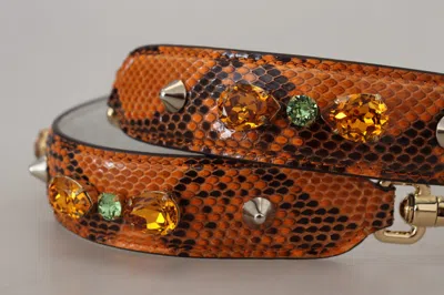 Dolce & Gabbana Chic Orange Leather Bag Strap With Gold-tone Women's Clasps
