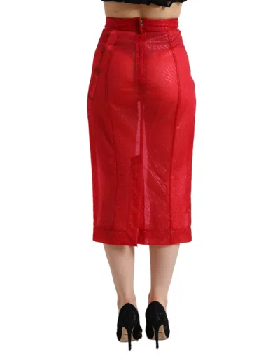 Dolce & Gabbana Red Sheer High Waist Pencil Cut Midi Skirt In Red