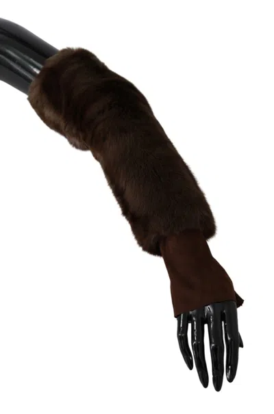 Dolce & Gabbana Brown Elbow Length Finger Less Fur Gloves In Brown