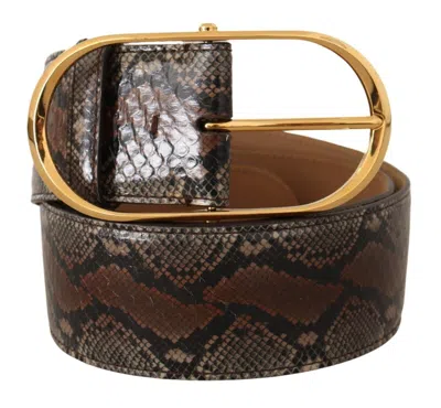 Dolce & Gabbana Brown Exotic Leather Gold Oval Buckle Belt In Brown
