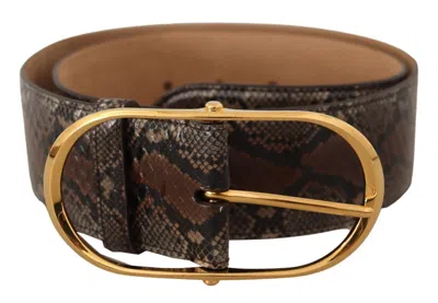 Dolce & Gabbana Brown Exotic Leather Gold Oval Buckle Belt In Brown
