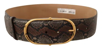 Dolce & Gabbana Brown Exotic Leather Gold Oval Buckle Belt In Brown