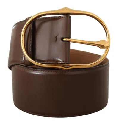 Dolce & Gabbana Brown Leather Gold Metal Oval Buckle Belt In Brown