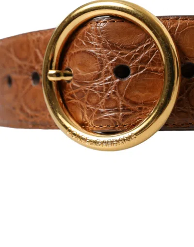 Dolce & Gabbana Brown Exotic Leather Round Buckle Belt In Brown