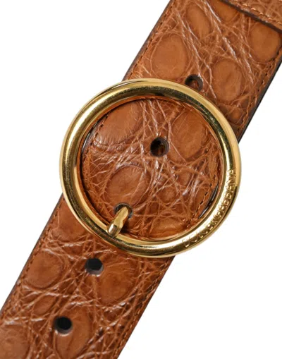 Dolce & Gabbana Brown Exotic Leather Round Buckle Belt In Brown