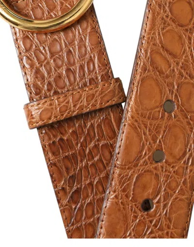 Dolce & Gabbana Brown Exotic Leather Round Buckle Belt In Brown
