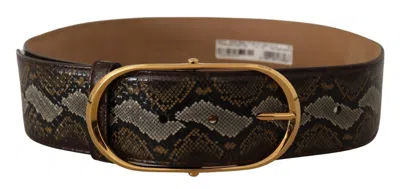 Dolce & Gabbana Brown Exotic Leather Gold Oval Buckle Belt