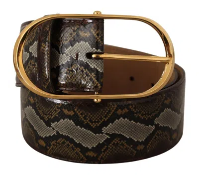 Dolce & Gabbana Brown Exotic Leather Gold Oval Buckle Belt