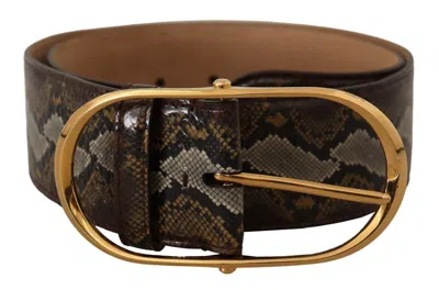 Dolce & Gabbana Brown Exotic Leather Gold Oval Buckle Belt