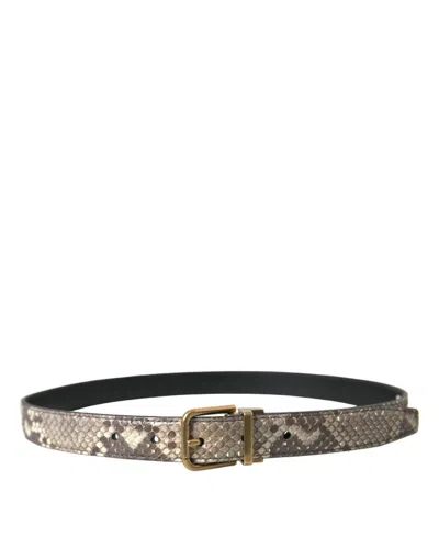 Dolce & Gabbana Brown Python Leather Gold Metal Buckle Belt In Brown