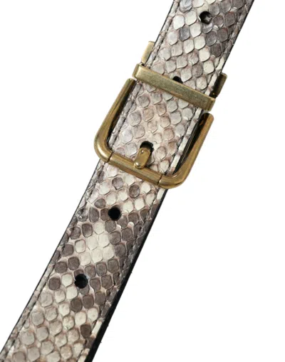 Dolce & Gabbana Brown Python Leather Gold Metal Buckle Belt In Brown