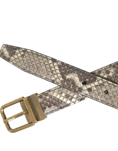 Dolce & Gabbana Brown Python Leather Gold Metal Buckle Belt In Brown