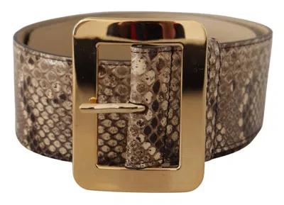Dolce & Gabbana Brown Exotic Wide Waist Leather Gold Metal Buckle Belt In Brown