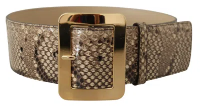 Dolce & Gabbana Brown Exotic Wide Waist Leather Gold Metal Buckle Belt In Brown