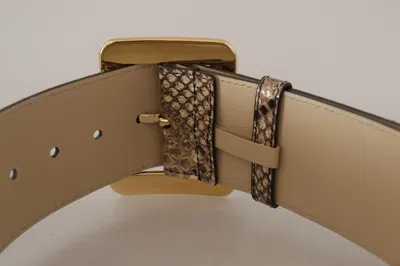 Dolce & Gabbana Brown Exotic Wide Waist Leather Gold Metal Buckle Belt In Brown