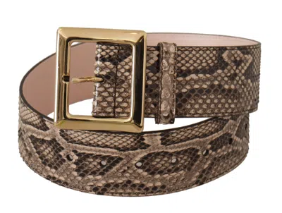Dolce & Gabbana Beige Exotic Leather Wide Gold Metal Buckle Belt In Brown