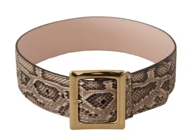 Dolce & Gabbana Beige Exotic Leather Wide Gold Metal Buckle Belt In Brown