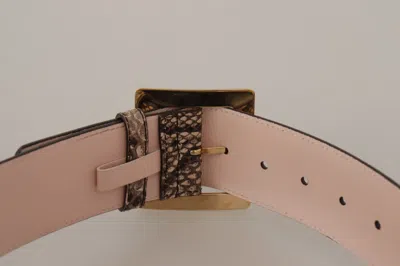 Dolce & Gabbana Beige Exotic Leather Wide Gold Metal Buckle Belt In Brown