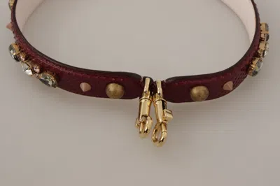 Dolce & Gabbana Elegant Python Leather Bag Strap In Women's Bordeaux