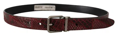 Dolce & Gabbana Red Exotic Leather Metal Logo Buckle Belt In Brown