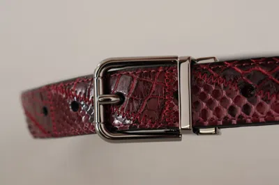 Dolce & Gabbana Red Exotic Leather Metal Logo Buckle Belt In Brown