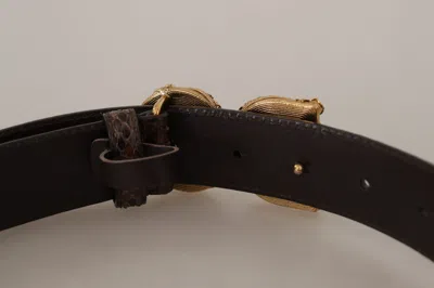 Dolce & Gabbana Brown Amore Animal Print Exotic Leather Logo Buckle Belt In Brown