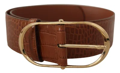 Dolce & Gabbana Brown Wide Waist Leather Gold Oval Metal Buckle Belt In Brown