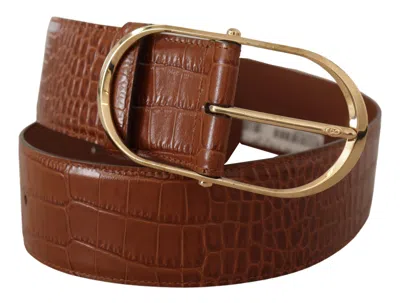 Dolce & Gabbana Brown Wide Waist Leather Gold Oval Metal Buckle Belt In Brown