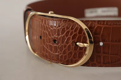 Dolce & Gabbana Brown Wide Waist Leather Gold Oval Metal Buckle Belt In Brown