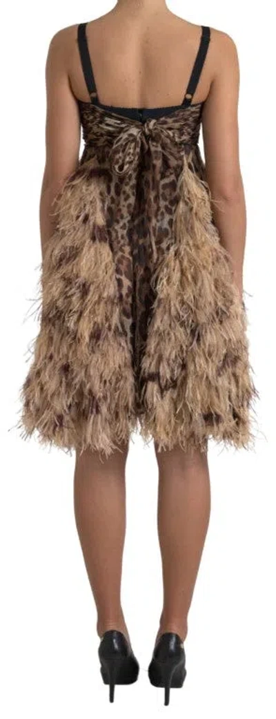 Dolce & Gabbana Brown Leopard Feather Chiffon Sleeveless Dress In Brown