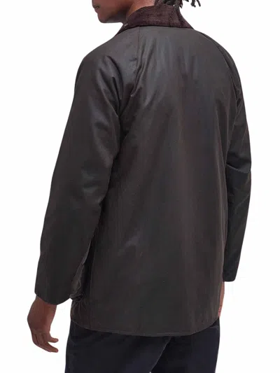 Barbour Brown Button-up Coat With Corduroy Collar In Brown